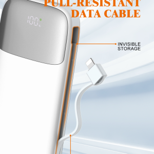 LDNIO PQ19 10000mAh PD+QC 3.0+SCP Fast Charging Power Bank